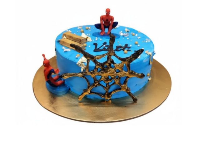 WhatsApp Image 2026-02-11 at 2.21.31 PM