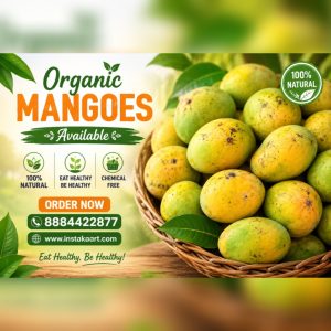 Mango (Big size)
